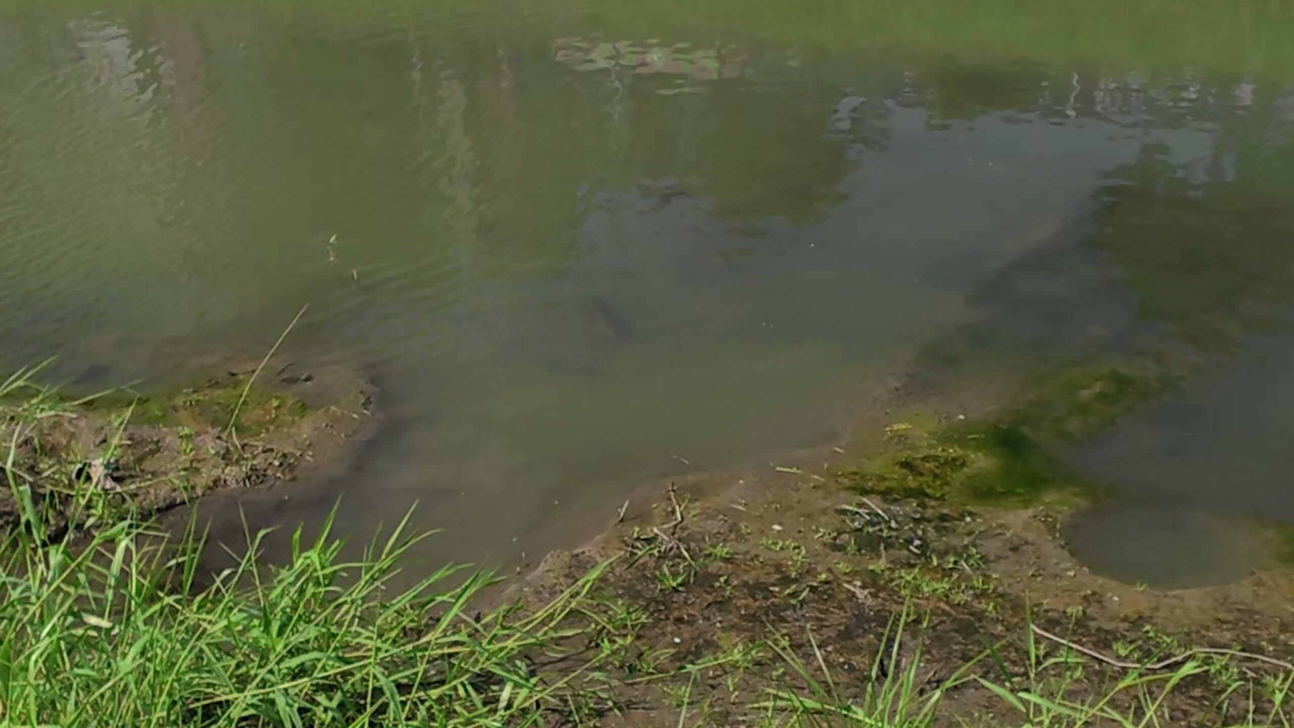 4日目:台湾のダム湖で怪魚狙い