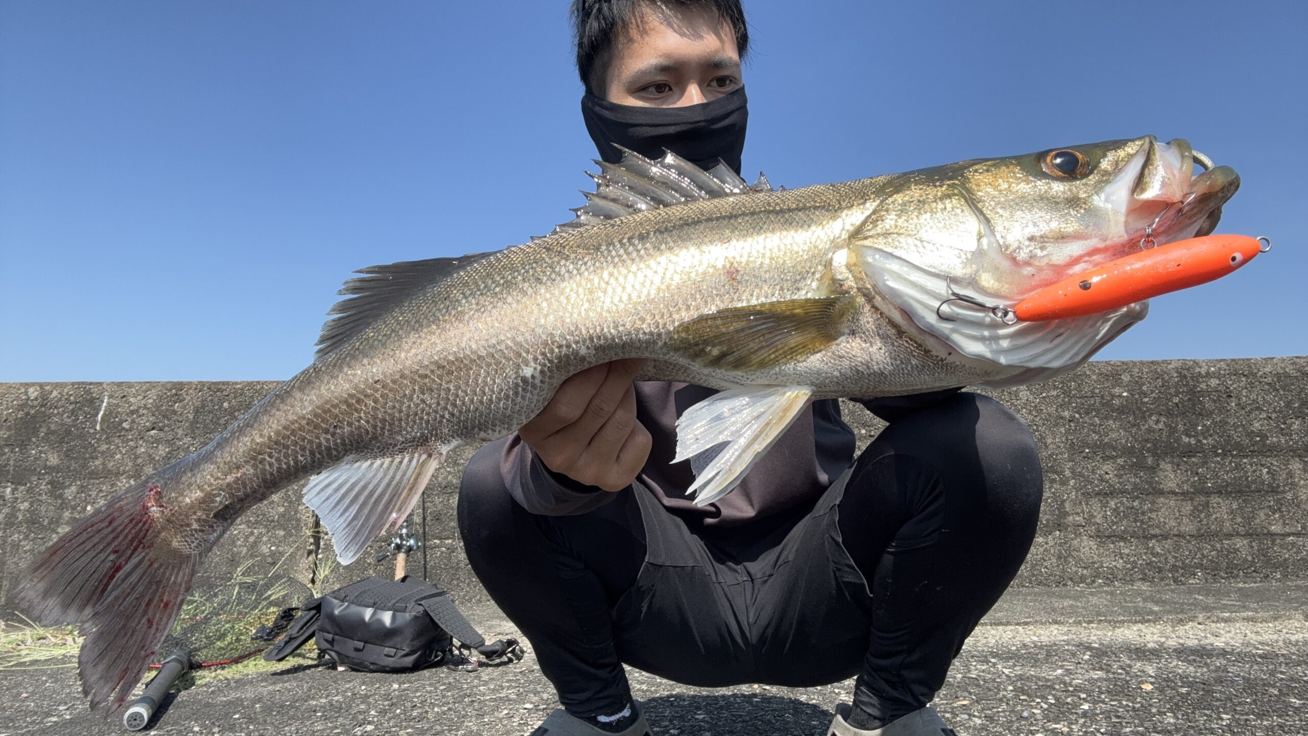 Sea bass landed on Amazon Spook