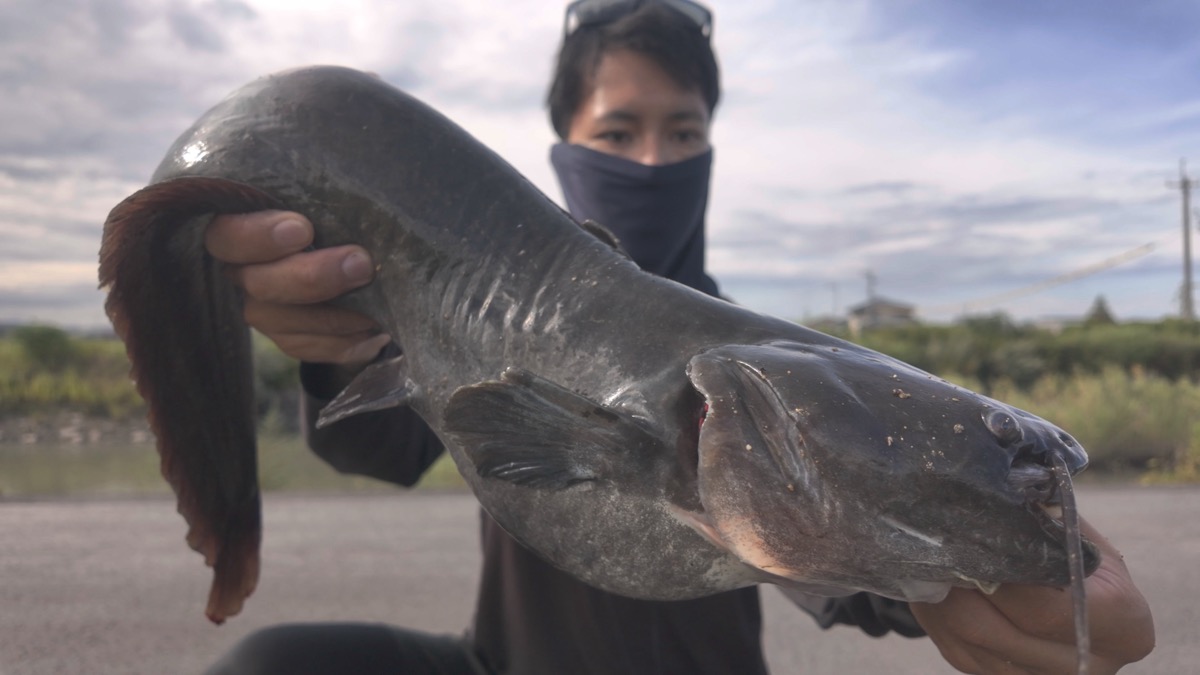 多魚種アングラーうっちー プロフィール写真