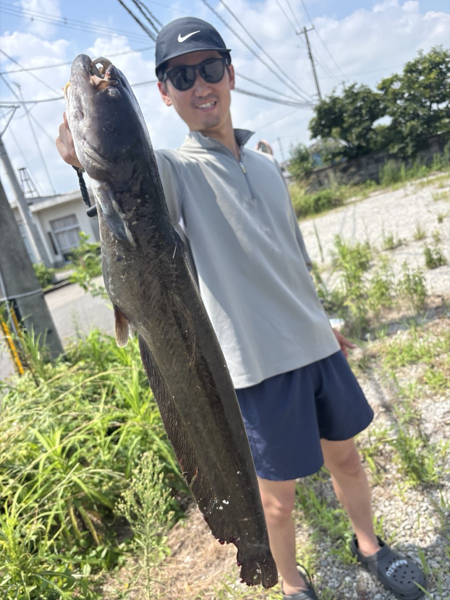 夏場に大型ナマズをトップウォーターで釣り上げた釣果写真