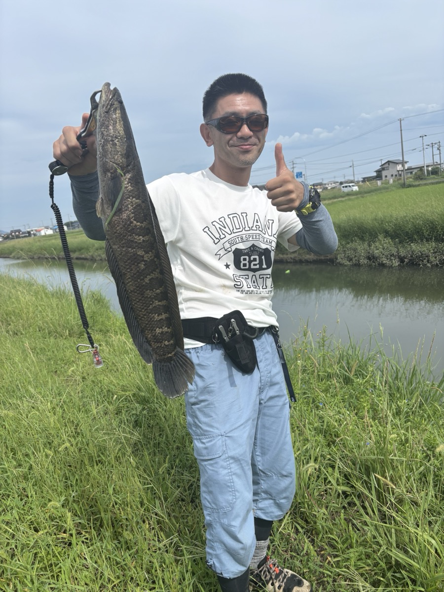 田んぼの用水路でサムズアップする男性と大型ナマズ」 class=